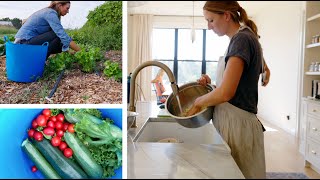 Homestead Life as a Family of 7  Preserving Cooking Gardening Homeschooling and Homemaking [upl. by Nedry]