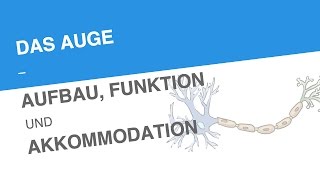 DAS AUGE – AUFBAU FUNKTION UND AKKOMMODATION  Biologie  Neurobiologie und Verhalten [upl. by Fasano727]