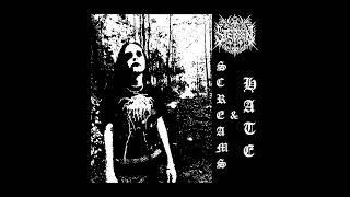 Sterben  Screams amp Hate Black MetalRaw2024 [upl. by Penthea]