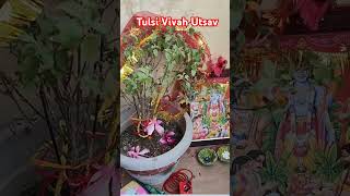 Tulsi Rani ka vivah hshortvideos viralvideo tulsi tulsivivah youtubeshorts viralsong love [upl. by Sirenay]