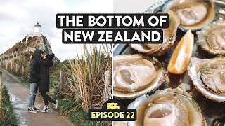 48 Hours In The Deep South Of New Zealand  Reveal NZ Ep 22 [upl. by Elletnuahc]