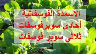 phosphatic fertilizer الأسمدة الفوسفاتية أحادى سوبر فوسفات  ثلاثى سوبر فوسفات [upl. by Zaob]