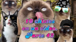 10 chistes en un video Parte 42 😍🤭🤣 [upl. by Raffaj]