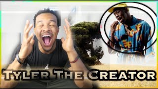 Tyler The Creator  ZIPLOC FREESTYLE  REACTION [upl. by Braasch]