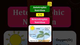 Autotrophic Nutrition vs Heterotrophic Nutrition Class 10 Chapter 1 [upl. by Secnarfyram]