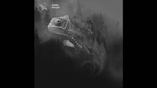 NVR003 Camea  Vanish Tobias Remix [upl. by Yhtir]