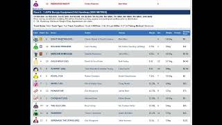 Eight Martinis at 121  Value Longshot in Mornington Race 8 [upl. by Herrah]