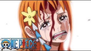 Nami says Luffy Will Become Pirate King Dub One Piece  Episode 1008 [upl. by Holle806]