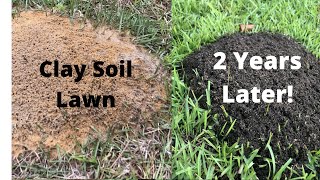 Improve Your Clay Soil Lawn  CRAZY PROOF from Fire Ants [upl. by Asereht622]