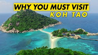 Why You MUST VISIT Koh Tao Best of Thailand [upl. by Aseel190]