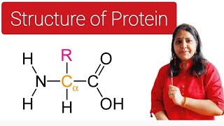 Structure of Protein  AMINO ACID [upl. by Raddy]