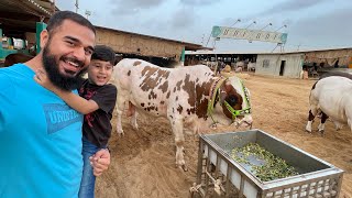 Cow mandi with my son 🐐🐂  Mustafa Hanif BTS  daily vlogs  cow mandi 2022 [upl. by Ellette]