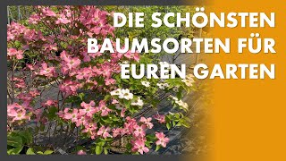 Shoppingtour in der Baumschule 😊❤️🌳 Was gibt es beim Kauf von Bäumen zu beachten [upl. by Xaviera]