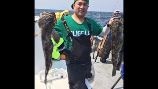 Northern California Lingcod Fishing Farallon Islands and Rockfish [upl. by Rodie]