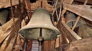 Glocken der evluth Laurentiuskirche Schönberg [upl. by Nady932]