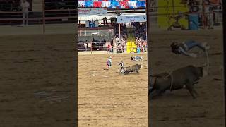 AngolaRodeoExperience PrisonRodeo AngolaRodeo2024 RodeoThrills InsideAngolaRodeo [upl. by Doowrehs]