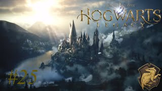 Billywig Stacheln für Garreth 🪄 Hogwarts Legacy 25 [upl. by Aubin]