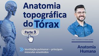 Anatomia do tórax parte 9  Ventilação pulmonar  principais músculos envolvidos [upl. by Tdnarb147]