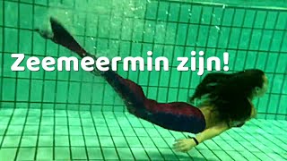 ZEEMEERMINSTAARTEN testen van wwwnoordzeemeerminnl ONDERWATERbeelden [upl. by Yeblehs979]