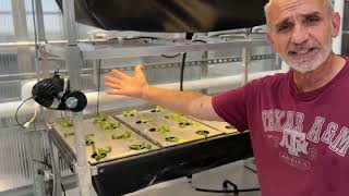 How do Aeroponic Systems Work [upl. by Louella]