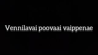 Vennilave poovai veypene song lyrics  tamil song  Lyrical songs  Trisha  Shaam [upl. by Netty503]