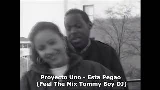 Proyecto Uno Esta Pegao Feel The Mix Tommy Boy DJ [upl. by Ullman]