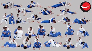 Katame Waza  Grappling Techniques  32 Holds StranglesChokes and Armlocks [upl. by Otiragram]