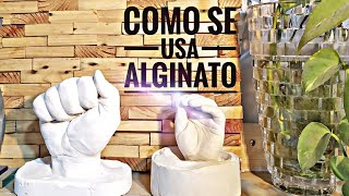 👉 Como hacer MOLDE de MANO con ALGINATO y YESO ✅ [upl. by Teerprug978]