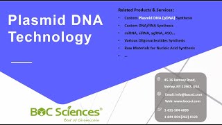 What is a Plasmid  Plasmid DNA Technology  Plasmid DNA pDNA Manufacturing  What is pDNA [upl. by Colvin]