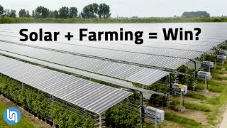 Solar Panels Plus Farming Agrivoltaics Explained [upl. by Refennej]