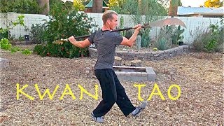 Top 10 Kwan Tao Techniques  Guan Dao Kung Fu [upl. by Ner]