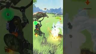 Gold Bokoblin Annihilation BOTW botw breathofthewildclip zelda zeldamods zeldabotw [upl. by Nosnah]