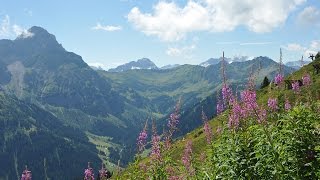 Die Alpenblumen im Kleinwalsertal  Wanderung auf dem AlpenblumenLehrpfad [upl. by Doxia]