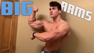 How to Grow your Arms  Best Exercises for Mass [upl. by Suirtemed]