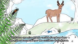 Corridors écologiques une solution fondée sur la nature face aux changements climatiques [upl. by Adnuhs574]