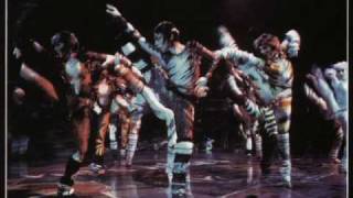 Cats the Musical Video Cast [upl. by Feingold952]