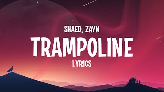 SHAED amp ZAYN  Trampoline Lyrics [upl. by Roselia]