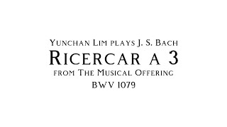 J S Bach  quotRicercar a 3quot from The Musical Offering BWV 1079 Yunchan Lim [upl. by Akeemaj]