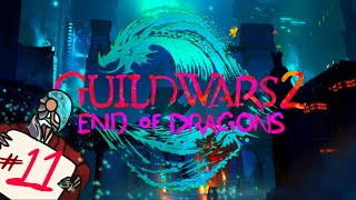 Guild Wars 2 End of Dragons 11 In the Name of the Law NO COMMENTARY [upl. by Notelrahc853]