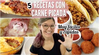 5 RECETAS con CARNE PICADA Fáciles y Rápidas [upl. by Revart]