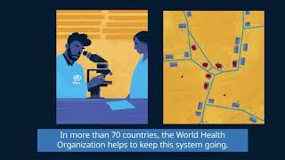 WHO The Polio Surveillance System Short version [upl. by Collis495]