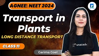 Long Distance Transport  Transport in Plants  Class 11  NEET 2024  Biology  Garima Goel [upl. by Ynna]