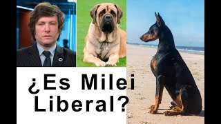 Milei será LIBERAL si se lo exigen [upl. by Georgia]