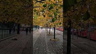 Londons Colourful Weather🤩 london beautiful shorts viralvideo viral trending shortvideo uk [upl. by Volotta]