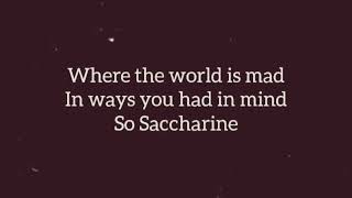 Saccharine Lyric Video [upl. by Christian673]