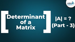 Matrices  Determinant of a Matrix Part 3  Dont Memorise [upl. by Ardnuassac]