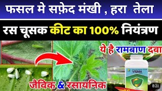 Pi Visma Fungicide।। Visma Fungicide ।। FertiLizerExpert ।। Best Fungicide in 2024 [upl. by Norred]