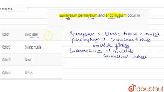 Epimysium perimysium and endomysium occur in [upl. by Nylhsa345]