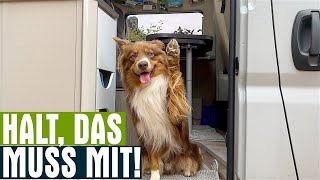 Wohnmobil mit Hund  Unsere Must Haves für den Wohnmobil Urlaub mit Hund Plus Checkliste [upl. by Gonick]