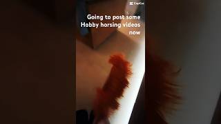 STARTING HOBBY HORSING ON MY CHANNEL hobbyhorse horses [upl. by Ahsinra511]